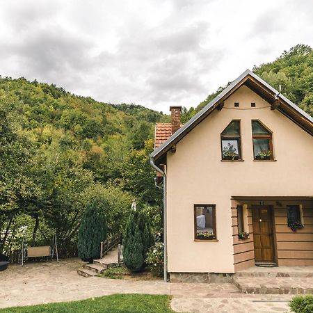 Lodge Zeleni Svet Crni Vrh Buitenkant foto