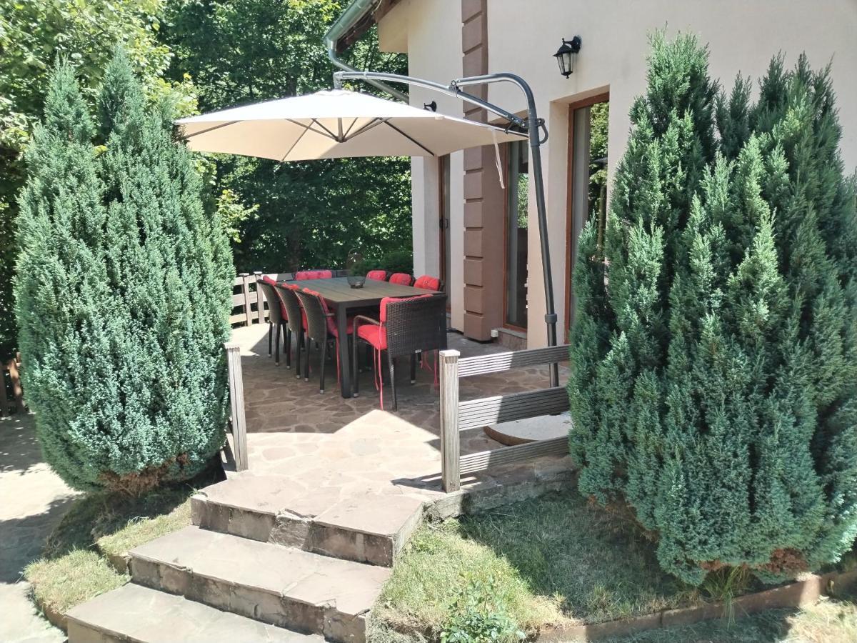 Lodge Zeleni Svet Crni Vrh Buitenkant foto
