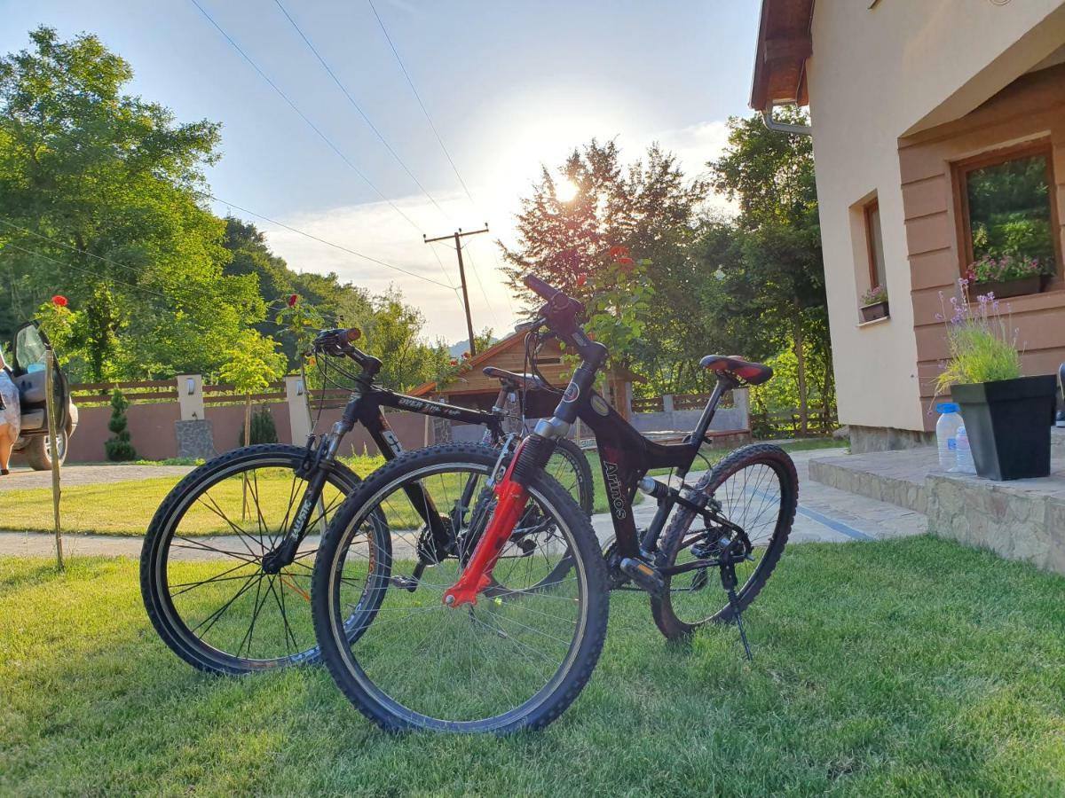 Lodge Zeleni Svet Crni Vrh Buitenkant foto