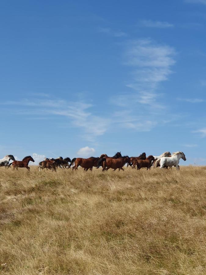 Lodge Zeleni Svet Crni Vrh Buitenkant foto