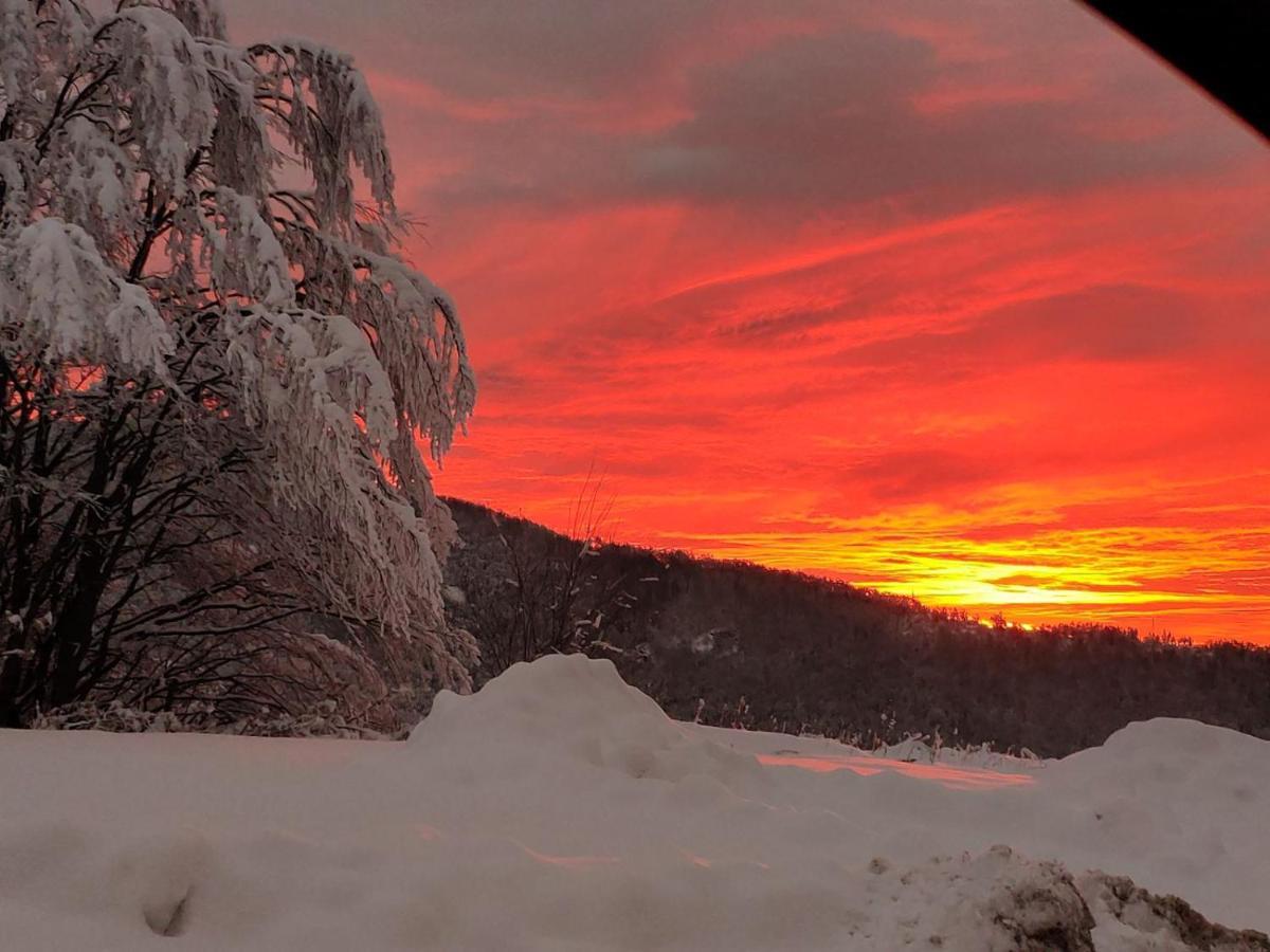 Lodge Zeleni Svet Crni Vrh Buitenkant foto